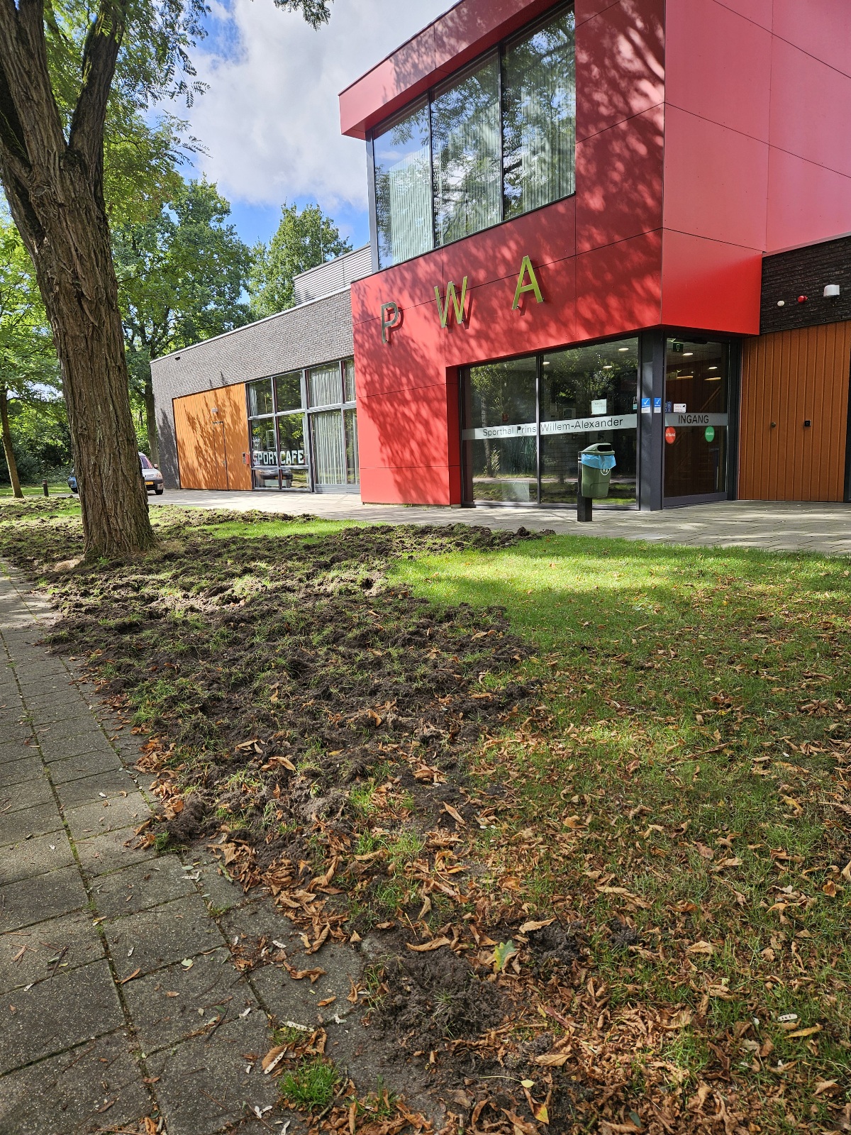 Zwijnen voor de PWA